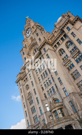 Le Royal Liver Building à Liverpool, en Angleterre. Banque D'Images