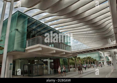 La palmeraie à Malaga - Espagne Banque D'Images