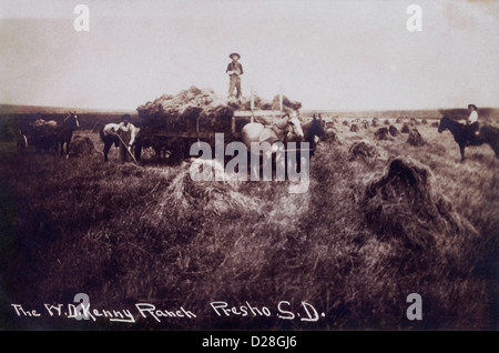 La récolte du blé, les travailleurs Presho, Dakota du Sud, USA, vers 1907 Banque D'Images