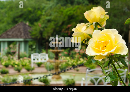 USA, Floride. Harry P. Leu Gardens Orlando, Floride. Banque D'Images