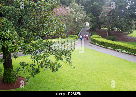 LA, la vacherie, la plantation d'Oak Alley, voie vers la grande maison sur la plantation de canne à sucre Banque D'Images