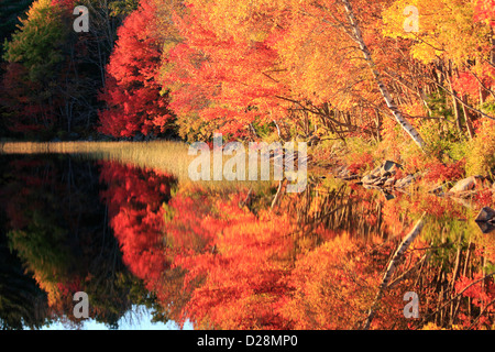 La couleur en automne à Lake Placid dans l'Adirondack State Park dans l'État de New York, USA Banque D'Images