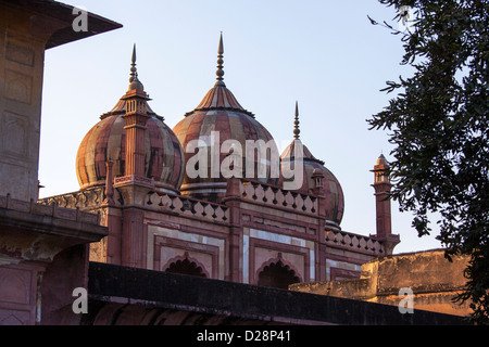 Mosquée de Safdarjung Tomb, Delhi, Inde Banque D'Images