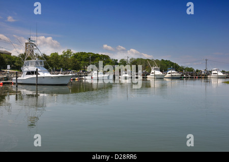 Marina de Cap Cod Banque D'Images