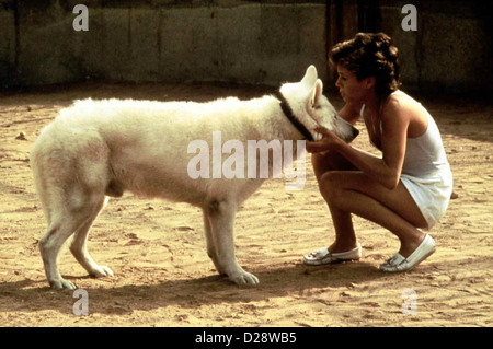 Der Weisse Hund Von Beverly Hills chien blanc Kristy McNichol Julie Sawyer (Kristy McNichol) hat einen weissen Hund gefunden, Banque D'Images