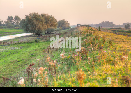 Voir l'inondation à un remblai le long de l'observation des oiseaux se cachent dans la lumière du soir. RSPB Ouse lavages. Cambridgeshire, Angleterre. Banque D'Images