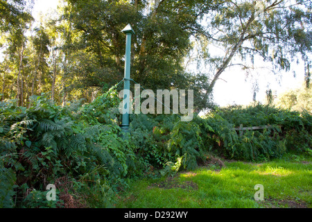 Le Holme Posts - cast-iron post Le Holme Fen NNR, Cambridgeshire, Angleterre. Banque D'Images