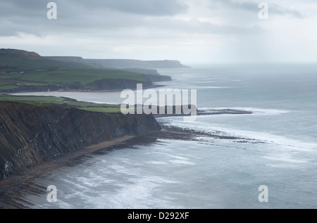 La vue le long de la côte de Purbeck Gad falaise. Banque D'Images