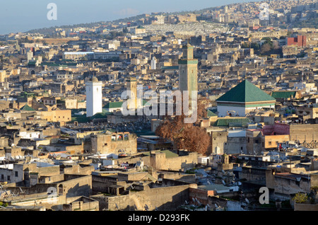 Vue sur la médina, Fès, Fes, Maroc Banque D'Images