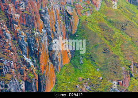 Paysage couvert de lichens, Bellott Détroit, Passage du Nord-Ouest, du Nunavut, de l'Arctique canadien Banque D'Images