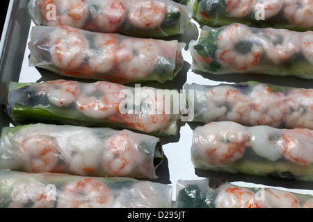 Close up de l'été de cylindres dont sont remplis de crevettes cuites, les nouilles de riz et d'herbes fraîches Banque D'Images