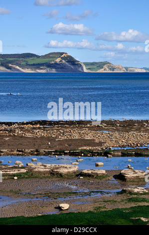 Vue d'une large vire, Lyme Regis Dorset Banque D'Images