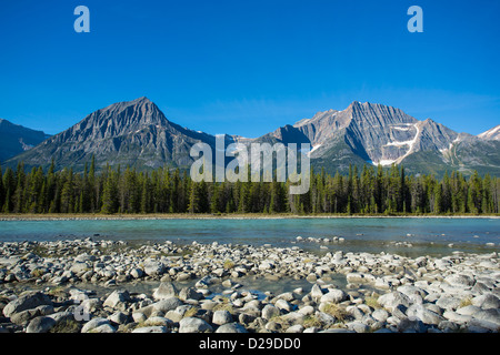 La rivière Athabasca, le long de la promenade des Glaciers dans le parc national Jasper en Alberta Canada Banque D'Images