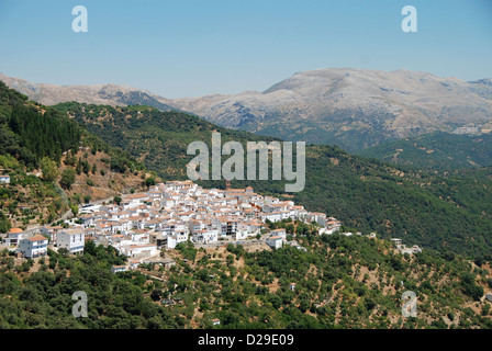 Algatocin, une ville blanche (pueblo blanco) dans les montagnes de Ronda Andalousie Banque D'Images