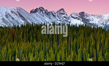 L'Indian Peaks du Colorado Rockies commencent à s'allumer avec alpenglow le long de la Brainard Lake Wilderness Banque D'Images