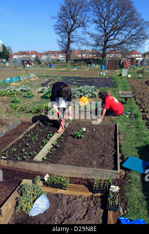 United Kingdom London ealing chemin Jubilee, un couple de planter leur attribution au printemps Banque D'Images