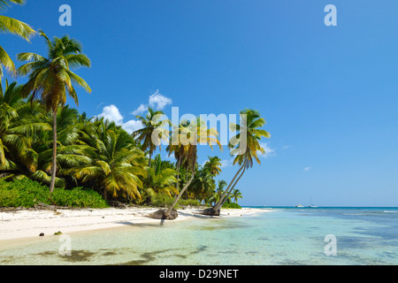 L'île de Saona, en République Dominicaine, Caraïbes Banque D'Images