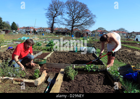 United Kingdom London ealing chemin Jubilee, un couple de planter leur attribution au printemps Banque D'Images