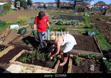 United Kingdom London ealing chemin Jubilee, un couple de planter leur attribution au printemps Banque D'Images