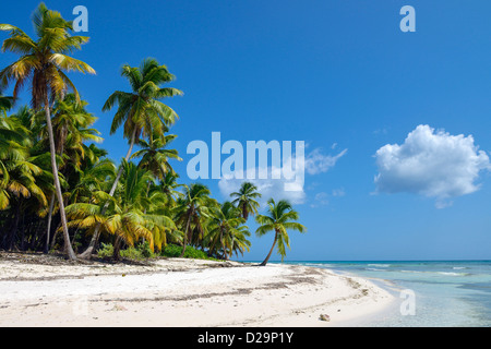 L'île de Saona, en République Dominicaine, Caraïbes Banque D'Images