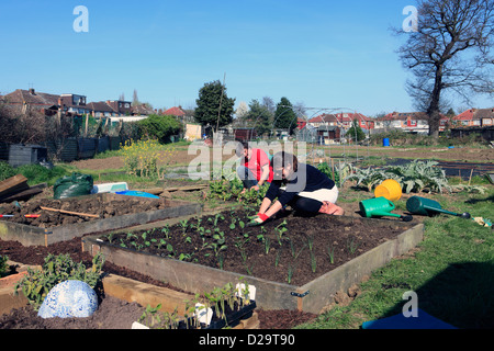 United Kingdom London ealing chemin Jubilee, un couple de planter leur attribution au printemps Banque D'Images