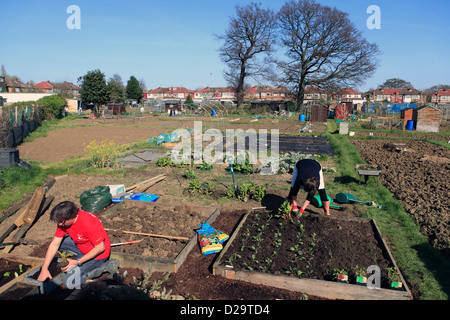 United Kingdom London ealing chemin Jubilee, un couple de planter leur attribution au printemps Banque D'Images