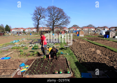 United Kingdom London ealing chemin Jubilee, un couple de planter leur attribution au printemps Banque D'Images