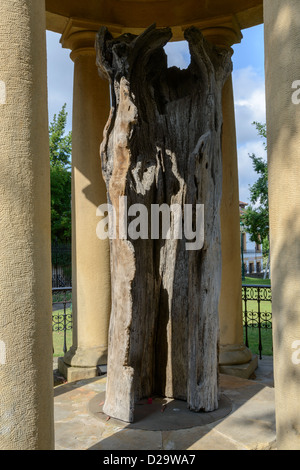L'arbre de Guernica, célèbre symbole commémoratif dans Gernica, Pais Basque, Espagne Banque D'Images