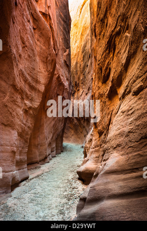 L'emplacement de fourche à sec, grand canyon national monument, l'escalier escalante, Utah, USA Banque D'Images