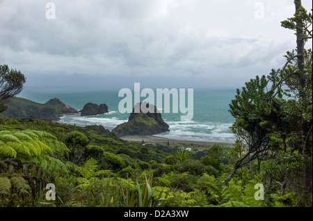 Piha beach New Zealand illustrée de l'Maungaroa Ridge trace de l'Edmund Hillary Trail. Banque D'Images