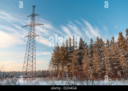 Les poteaux à haute tension d'alimentation d'hiver en forêt. Au nord de la Carélie, Russie Banque D'Images