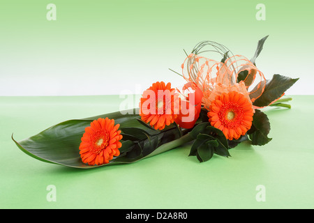 Bouquet frais d'orange gerbers sur fond vert Banque D'Images