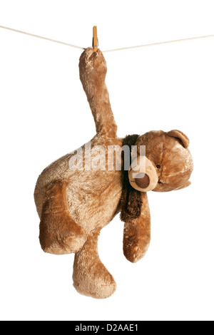 L'ours hanging on clothesline Banque D'Images