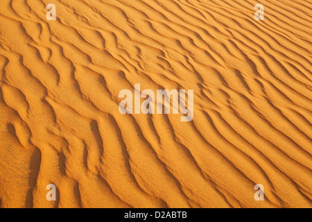 Vietnam, Mui Ne, dunes de sable, Close up Banque D'Images