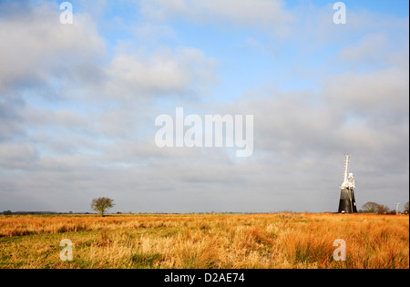 Une vue vers l'usine de mouton de drainage par les marais Halvergate de Wickhampton, Norfolk, Angleterre, Royaume-Uni. Banque D'Images