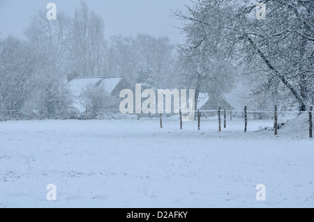 La neige tombe sur les terres agricoles en janvier (au nord de la Mayenne, pays de la Loire, pays de la Loire, France, Europe). Banque D'Images