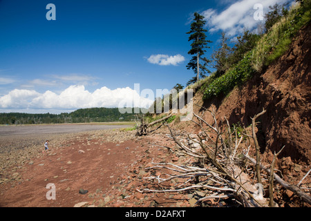 La plage et la mer de l'île Partridge près de Parrsboro, en Nouvelle-Écosse Banque D'Images