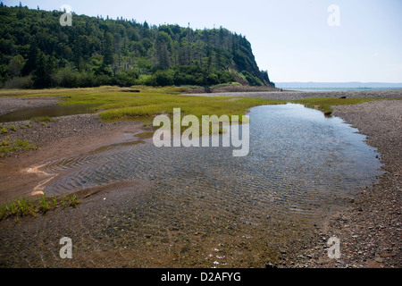 La plage et la mer de l'île Partridge près de Parrsboro, en Nouvelle-Écosse Banque D'Images