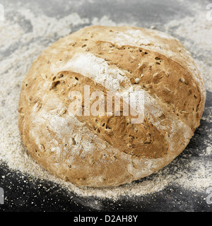 Close up de miche de pain frais cuit Banque D'Images