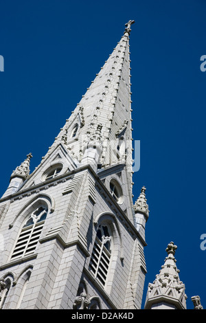 La flèche de basilique-cathédrale Sainte-Marie à Halifax, Nouvelle-Écosse Banque D'Images