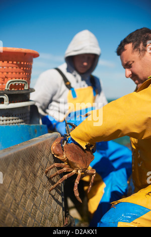 Pêcheur au travail sur le bateau Banque D'Images