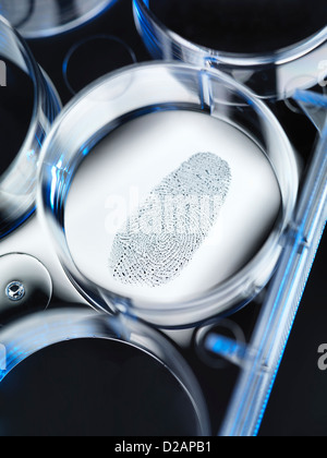 Close up of finger print in forensic lab Banque D'Images