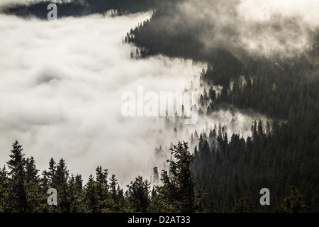 Les nuages bas au-dessus du paysage rural Banque D'Images