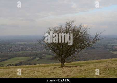 Vue nord de Ditchling Beacon sur Ditchling village Banque D'Images