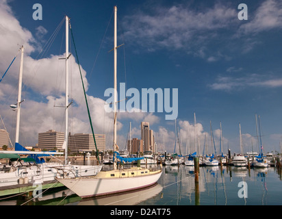 Les bateaux de plaisance à Lawrence street t-chef pier marina, le centre-ville de Tours derrière à la baie de Corpus Christi, Corpus Christi, Texas, États-Unis Banque D'Images