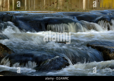 Un petit barrage sur la rivière Varenne, en mars (Orne, Normandie, France), Normandie-maine parc. Banque D'Images