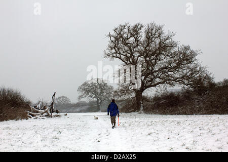 Le 18 janvier 2013. À l'ouest de Londres, Angleterre. Quatre pouces de neige sont tombés dans les domaines de la Cour Tolworth réserve naturelle où un homme s'promenait son chien. Banque D'Images