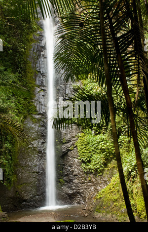 Une cascade dans la vallée de Quito, Équateur, forêt Andine, l'Amérique du Sud Banque D'Images