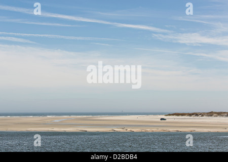 Peu de plages Talbot Island State Park en Floride Banque D'Images