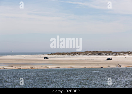 Peu de plages Talbot Island State Park en Floride Banque D'Images